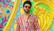 Charming personality of Dheeraj Dhoopar in ethnic pajama kurta