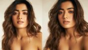 Dusky bronze goddess looks of Rashmika Mandanna, fans in awe