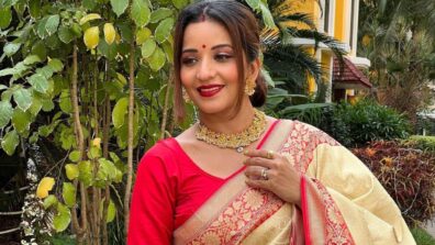 Ethnic Queen: Monalisa Slays The Traditional Saree Look