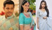 Ghum Hai Kisikey Pyaar Meiin, Neil Bhatt, Ayesha Singh, Aishwarya Sharma, and others’ salary