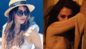 Gorgeous in White: Hansika Motwani looks divine in co-Ord mini set, Disha Patani stuns in cutout sheer bodycon