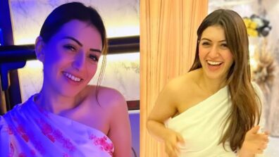 Hansika Motwani gives fairy vibes in white one-shoulder barbie outfit, see birthday photodump