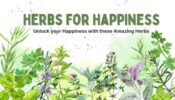 Herbs For Happiness: 5 Incredible Herbs to Boost Happy Hormones