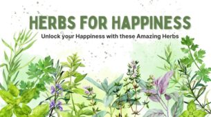 Herbs For Happiness: 5 Incredible Herbs to Boost Happy Hormones