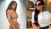 Hotness Alert: Nora Fatehi sets internet on fire in casuals, Disha Patani stabs hearts in one-shoulder golden shimmery gown