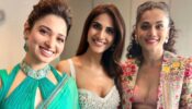 IFFM 2022: Tamannaah Bhatia, Vaani Kapoor, And Taapsee Pannu Raises The Glam Quotient High