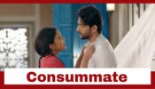 Imlie: Aryan and Imlie to consummate their relationship