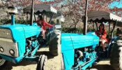 In Pics: Khatron Ke Khiladi Starrer Sriti Jha Looks Cute Posing With Steer Tractor