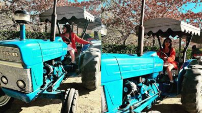 In Pics: Khatron Ke Khiladi Starrer Sriti Jha Looks Cute Posing With Steer Tractor