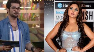 Indian Television actors from Raqesh Bapat to Rashami Desai who are ‘single and not sorry’ post-divorce