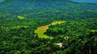 India’s Greenery-Rich Cities