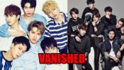 K-Pop Boy Groups That Have Vanished From The Industry