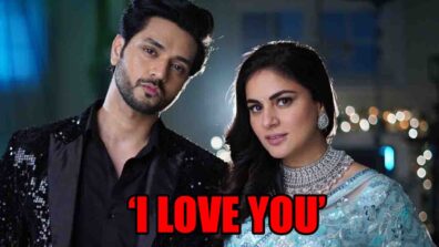 Kundali Bhagya: OMG! Arjun says ‘I Love You’ to Preeta