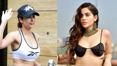 Malaika Arora resembling Urfi Javed in her body fit bralette pictures says a fan