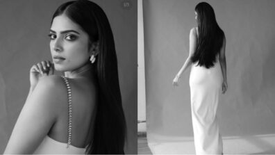 Malavika Mohanan Looks Hot In Her Gown Look For Award Function