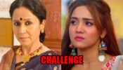 Meet: Meet Hooda and Barfi challenge each other