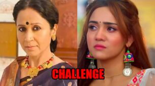 Meet: Meet Hooda and Barfi challenge each other