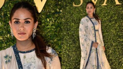 Mira Rajput Looks Divine And Surreal In Traditional Outfits