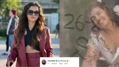 Mirror Mirror On The Wall: Priyanka Chopra wants to make a big revelation, Rubina Dilaik’s ‘birthday’ comment hints at a special connection