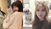 Monsta X Joohoney To Girls Generation Sunny: Five K-pop Idols Who Have Cats
