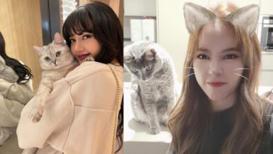 Monsta X Joohoney To Girls Generation Sunny: Five K-pop Idols Who Have Cats