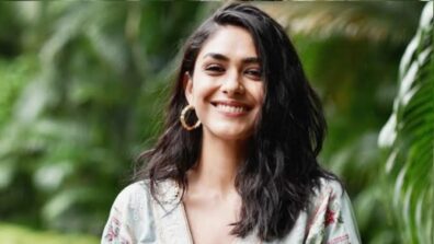 Mrunal Thakur Is In Demand In Telugu Cinema