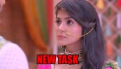 Muskuraane Ki Vajah Tum Ho: Katha gets a new task to prepare ‘Chappan Bhog’