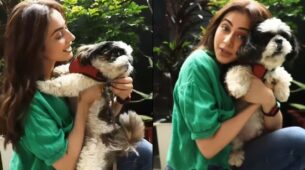 “My Saathiya Is Camera Shy” Says Rakul Preet Singh As She Shares A Reel With Her Doggy On Instagram: See Video