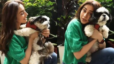 “My Saathiya Is Camera Shy” Says Rakul Preet Singh As She Shares A Reel With Her Doggy On Instagram: See Video