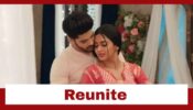 Naagin 6: Rishabh and Pratha to reunite