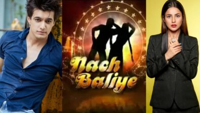 Nach Baliye 10: From Mohsin Khan to Shehnaaz Gill, celebs who are approached