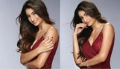 Red Hot: Palak Tiwari shines and glows in glittery bodycon dress, see pics