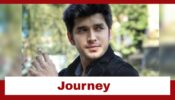 Paras Kalnawat’s Journey From Anupamaa To Jhalak Dikhhla Jaa: Check Here