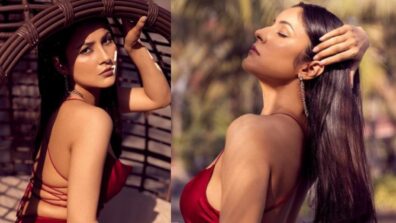 Photodump: Shehnaaz Gill in slaying in red backless slip-on dress, you golden opportunity to give romantic rose to her