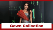 Priyanka Chopra Jonas Has The Hottest Collection Of Gowns & Here’s Proof