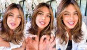 Priyanka Chopra’s brand Anomaly Haircare is soon to be in India
