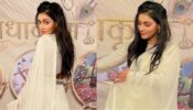 RadhaKrishn fame Mallika Singh wants to turn herself inside out, check out gorgeous pic