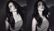 Rakul Preet Singh Slaying In Black-and-white Outfit On Social Media: Take A Look