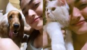 Rashmika Mandanna’s Cute Pictures With Pets Will Astound You