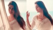 Video: When Anveshi Jain made internet go bananas with sensuous curves in transparent see-through saree