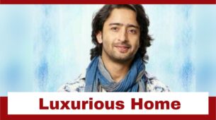 Shaheer Sheikh And His Luxurious Home; Check Details