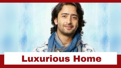 Shaheer Sheikh And His Luxurious Home; Check Details