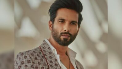 Shahid Kapoor In Yet Another South Indian Remake