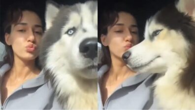 So Cute: Disha Patani goes on long drive with her husky, watch