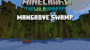 Swamps Vs. Mangrove: Know How Different Are These Two Biomes?