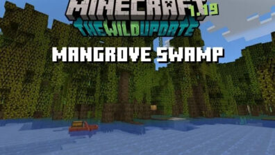 Swamps Vs. Mangrove: Know How Different Are These Two Biomes?