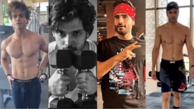 Television top stars Krishna Kaul, Parth Samthaan, Karan Tacker, and Vivek Dahiya flaunt their hardcore workout routine