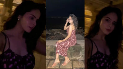 Teri Aankhon Ka Yeh Nasha: TMKOC actress Palak Sindhwani gives sneak-peek into her night life, you will love it