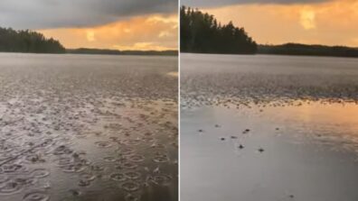 The Happiest Thing You’ll See On The Internet Right Now Is A Viral Video Of Rain Rolling In