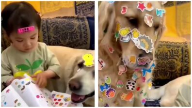 This Cutest Video Of A Dog Covering A Baby With Stickers Is Something You Definitely Need To See Today